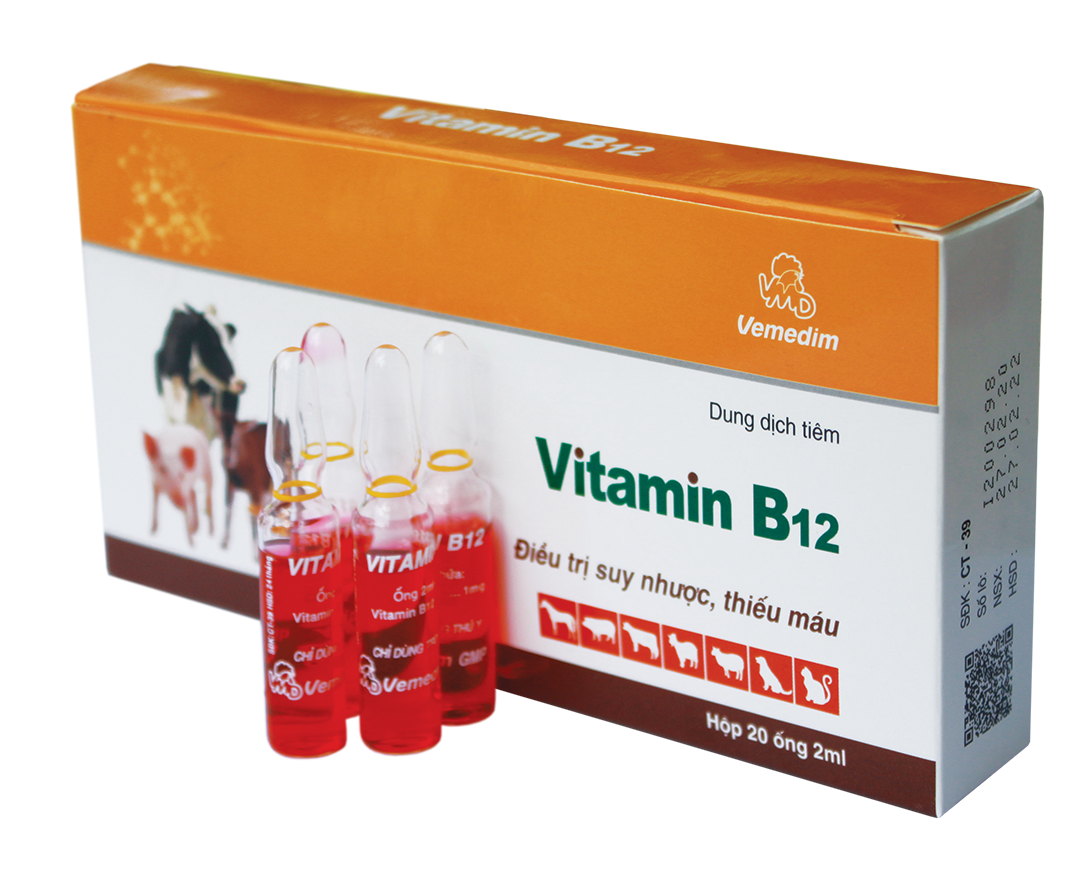 Chức năng của thuốc thú y vitamin b12 và lời khuyên dinh dưỡng