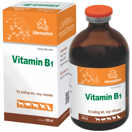 s-n-ph-m-vitamin-b1
