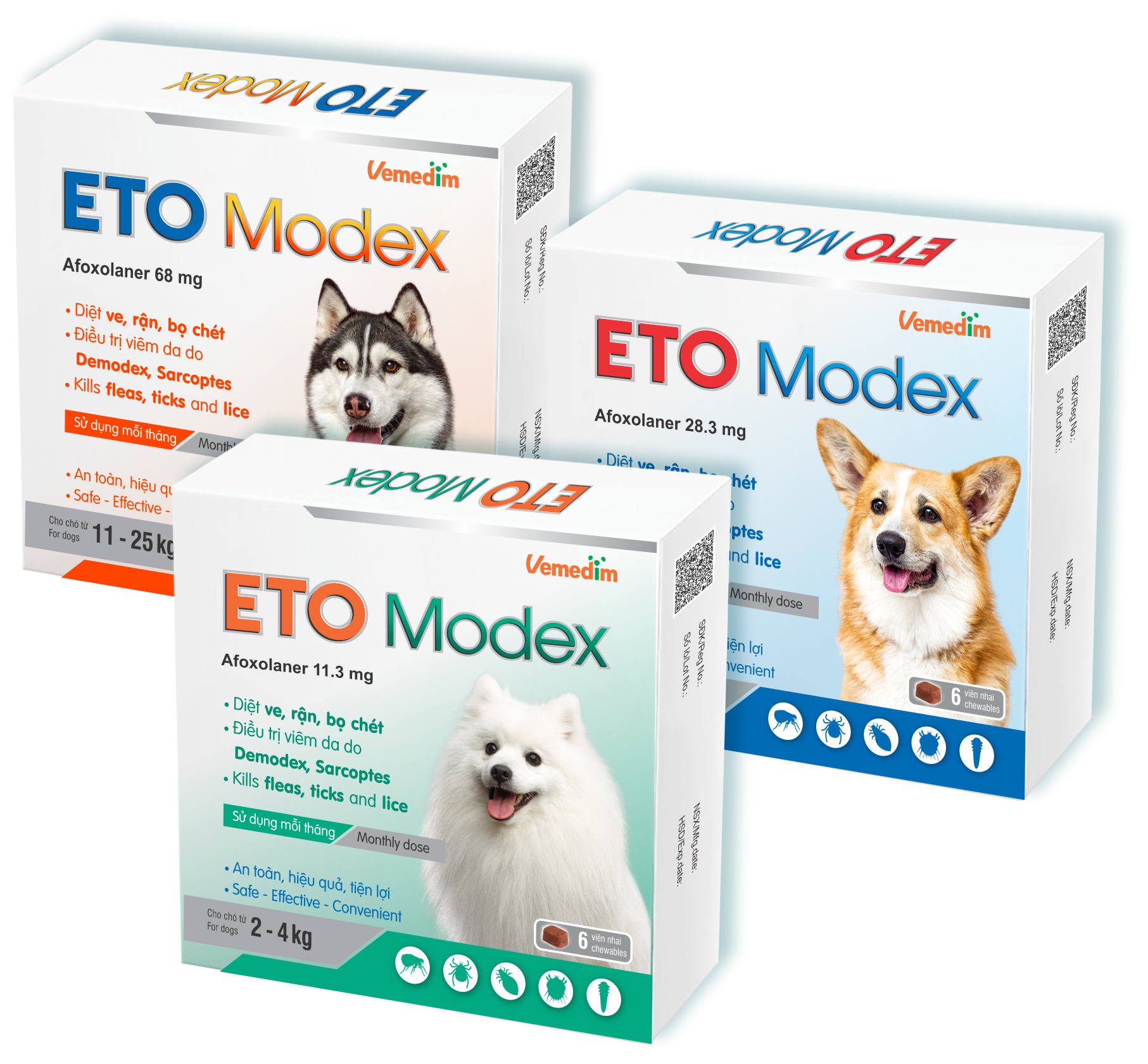 ETO MODEX