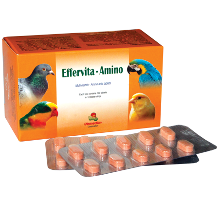 Product effervita amino
