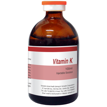 Thiếu Vitamin K có thể gây ra những triệu chứng gì?
