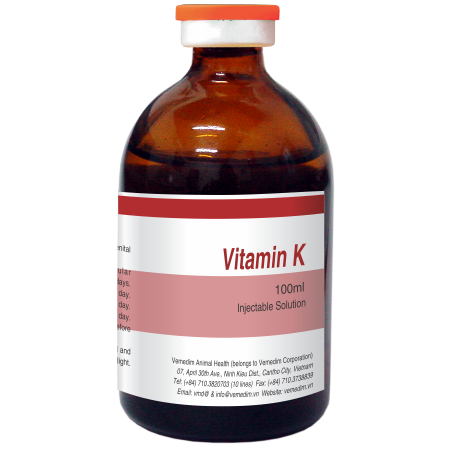 Dấu hiệu của deficiency of vitamin k và cách khắc phục