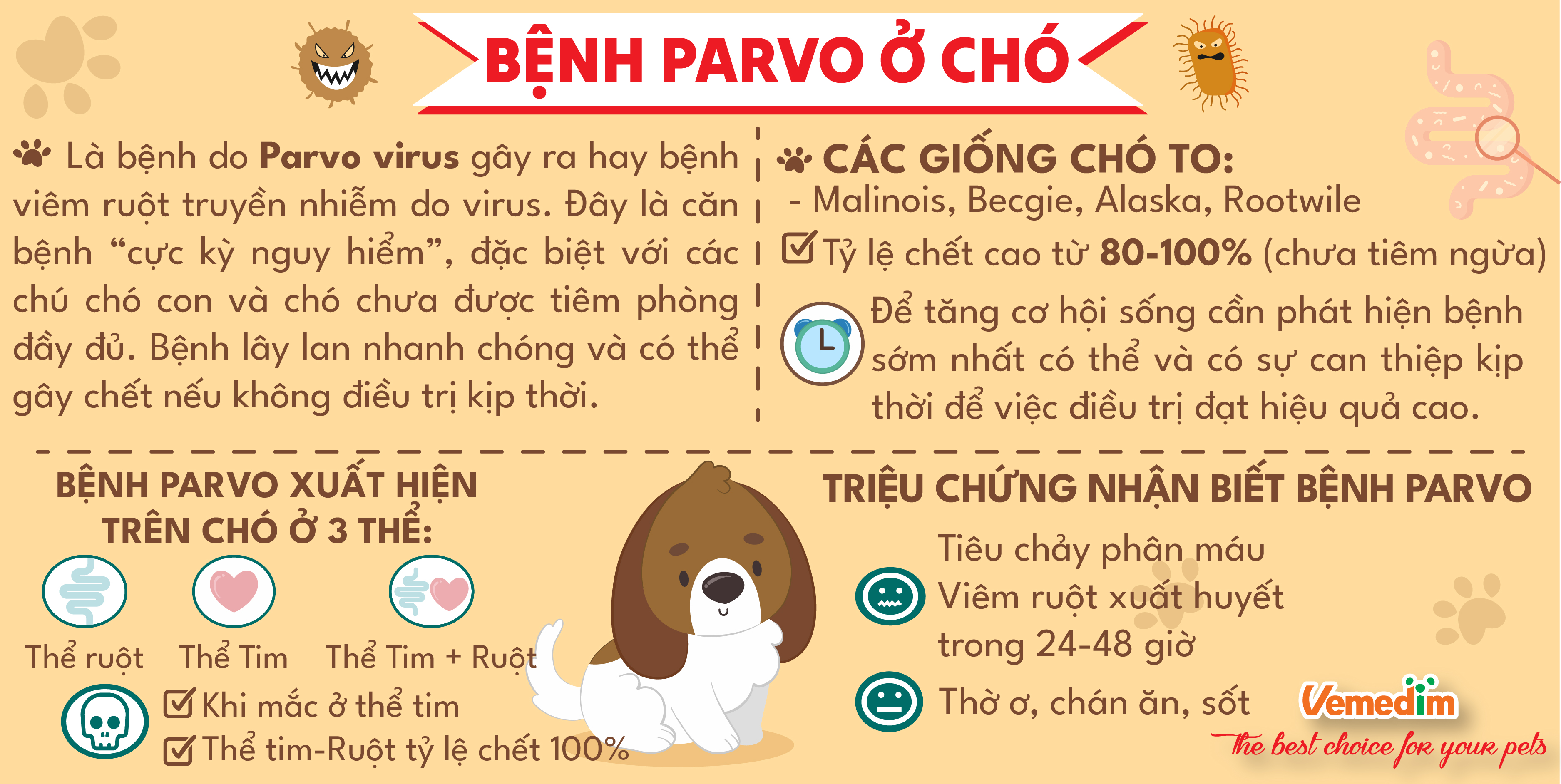 Cách Phòng Bệnh Parvo Ở Chó: Bí Quyết Bảo Vệ Thú Cưng Khỏi Căn Bệnh Nguy Hiểm