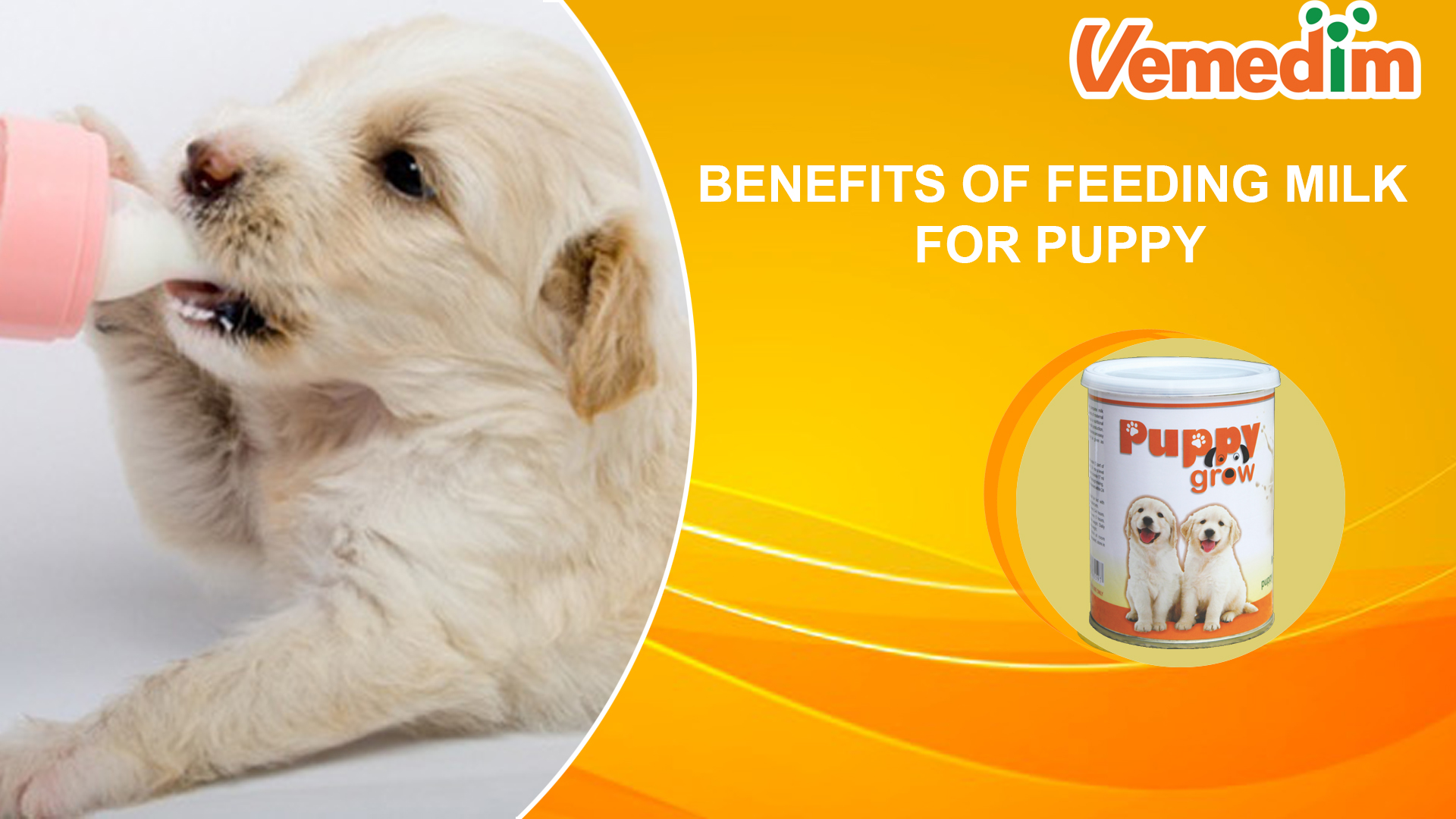 Technical information BENEFITS OF FEEDING MILK FOR PUPPY