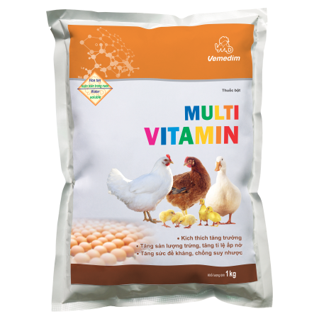 Lưu ý gì khi mua và sử dụng Multi Vitamin B?