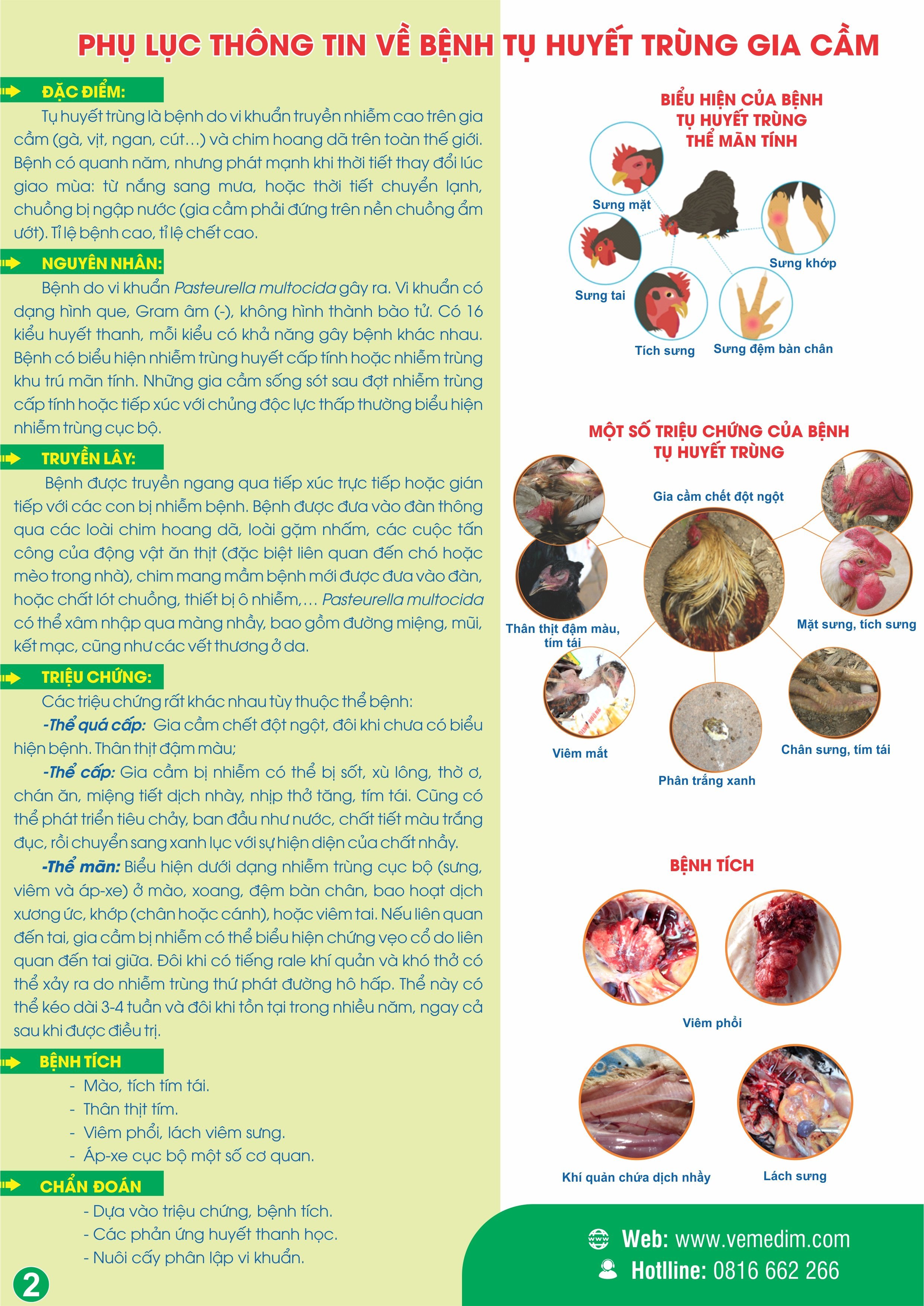 Điều trị tụ huyết trùng gia cầm: Tổng cục Thú y đã thành công trong việc trị liệu tụ huyết trùng gia cầm bằng phương pháp kết hợp sử dụng kháng sinh và vaccin. Điều này giúp ngành chăn nuôi gia cầm giảm thiểu đáng kể thiệt hại từ bệnh tật, đảm bảo sản lượng và chất lượng thịt gà. Hãy cùng chung tay bảo vệ nguồn thực phẩm sạch và an toàn.